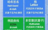 抗量子公链Raqcoin的技术解析：区块链升级后量子密码学