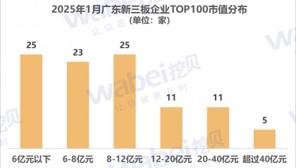 2025年1月广东新三板企业市值TOP100:21家企业冲击北交所