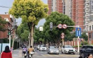 武汉多个小区接连宣布:免费对外开放!