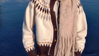 vivo X300 标准版手机采用定制 HPB 大底 2 亿主摄+APO 长焦组合