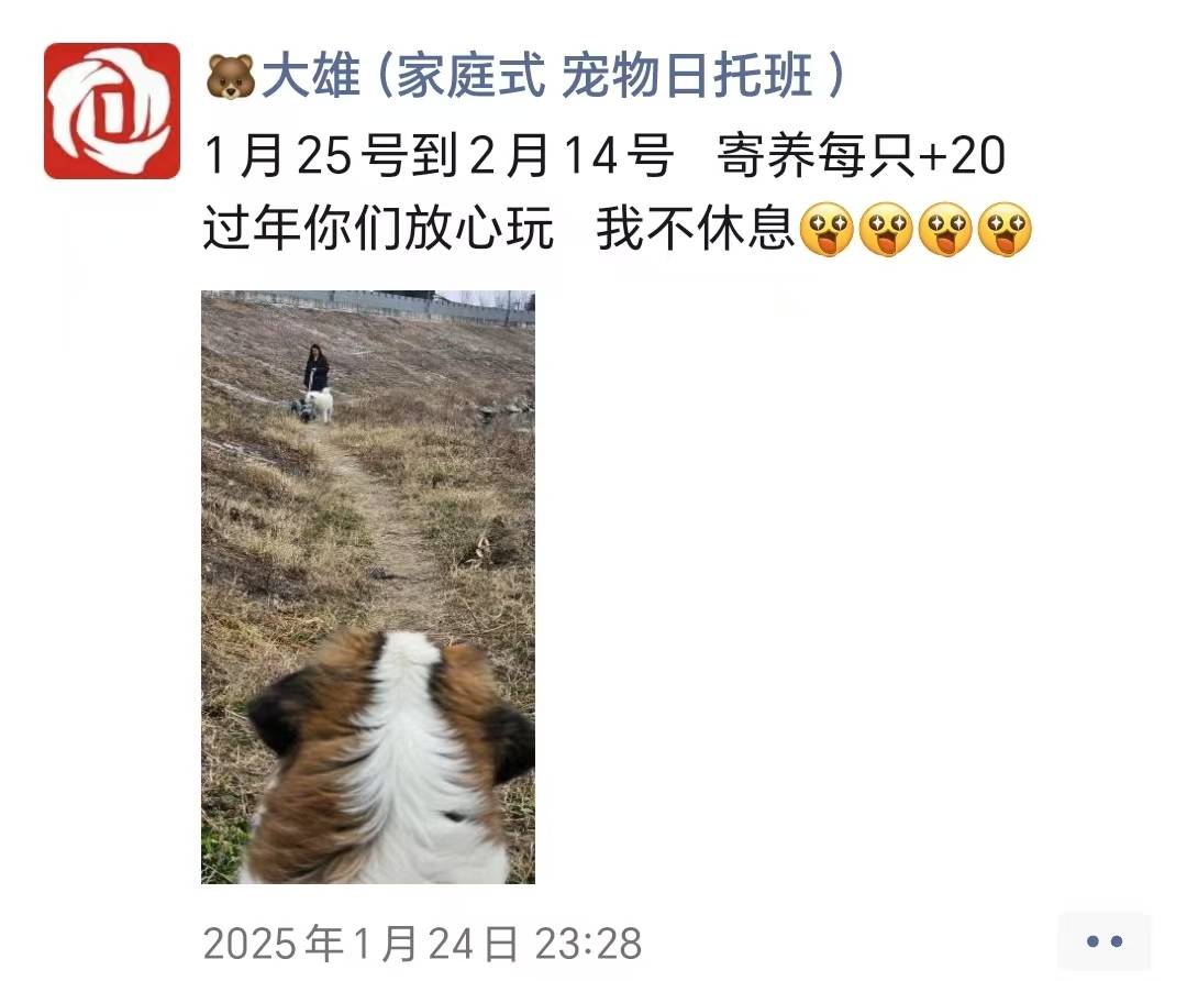 春节假期，宣城“宠物酒店”一“房”难求 上门遛狗、喂猫“忙飞了”