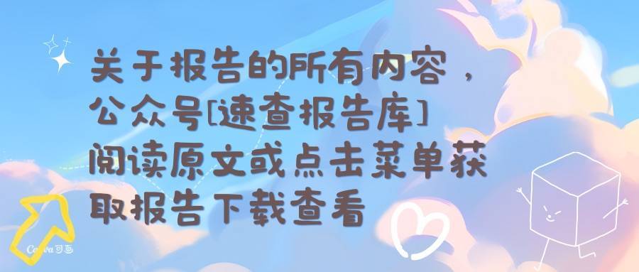 2025年中国社会组织参加COP29回顾与展望报告-C Team&amp;CEGA