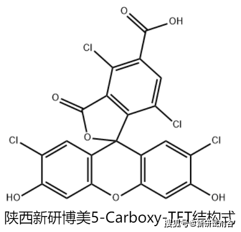 5-Carboxy-TET，155911-13-0用于细胞成像、生物分子定位及动态追踪